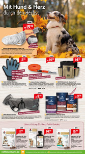 Raiffeisen-Markt Prospekt - Herbstzauber im Garten
