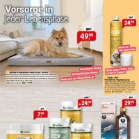 Raiffeisen-Markt Prospekt Seite 3