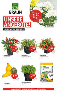 Braun Gartencenter Prospekt - 2026/35 | Gartencenter Braun K_1