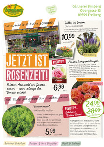 Gartenbau bimberg Prospekt - So schön blüht der Sommer!