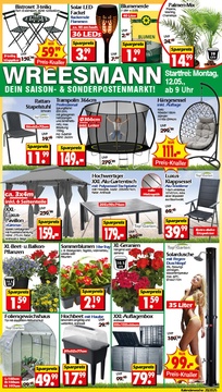 Wreesmann Prospekt - Angebote ab 12.05.