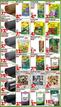 Wreesmann Prospekt - Angebote ab 19.05.