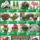 Wreesmann Prospekt Seite 3