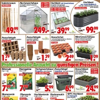 Wreesmann Prospekt Seite 2