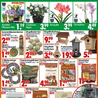 Wreesmann Prospekt Seite 3