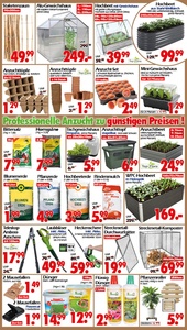 Wreesmann Prospekt - Angebote ab 19.01. - Seite 2