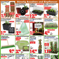 Wreesmann Prospekt Seite 2