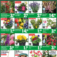 Wreesmann Prospekt Seite 3