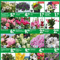 Wreesmann Prospekt Seite 3