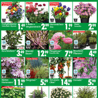 Wreesmann Prospekt Seite 3