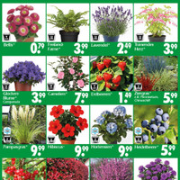 Wreesmann Prospekt Seite 3