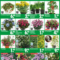 Wreesmann Prospekt Seite 3