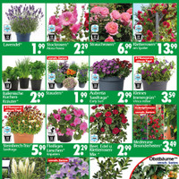 Wreesmann Prospekt Seite 3