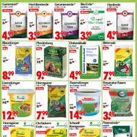 Wreesmann Prospekt Seite 2