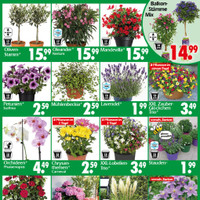 Wreesmann Prospekt Seite 3