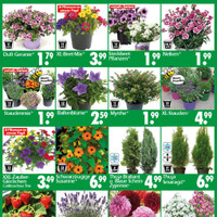 Wreesmann Prospekt Seite 3