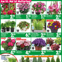 Wreesmann Prospekt Seite 3