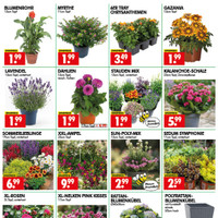 Wreesmann Prospekt Seite 3
