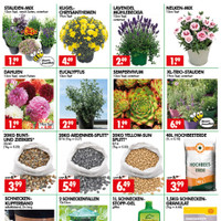 Wreesmann Prospekt Seite 3
