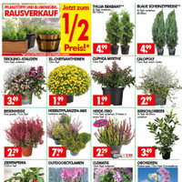Wreesmann Prospekt Seite 3