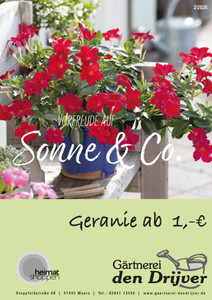 Gärtnerei den Drijver Prospekt - Gärtnerei den Drijver