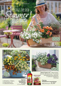 Gärtnerei den Drijver Prospekt - Gärtnerei den Drijver