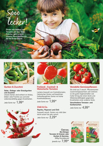Gärtnerei den Drijver Prospekt - Gärtnerei den Drijver
