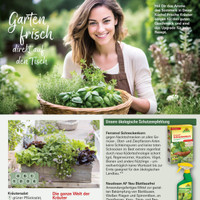 Gärtnerei den Drijver Prospekt Seite 7