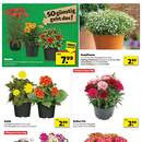 Mayrose Prospekt Seite 3