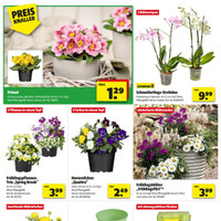 Mayrose Prospekt Seite 2