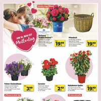 Mayrose Prospekt Seite 2