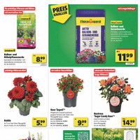 Mayrose Prospekt Seite 3