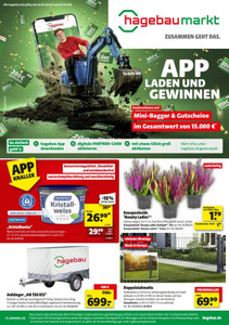 Mayrose Prospekt - Angebote der Woche