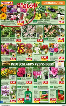 NORMA Prospekt - Angebote ab 19.05.
