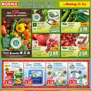 NORMA Prospekt - Obst & Gemüse