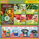 NORMA Prospekt - Obst & Gemüse