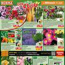 NORMA Prospekt Seite 15