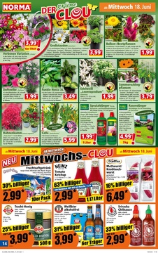 NORMA Prospekt - Angebote ab 16.06.