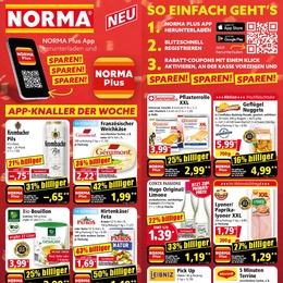 NORMA Prospekt