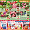 NORMA Prospekt Seite 12