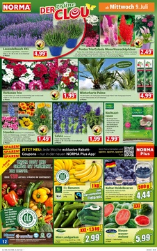 NORMA Prospekt - Angebote ab 07.07.