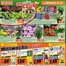 NORMA Prospekt - Wein