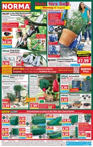 NORMA Prospekt - Angebote ab 18.08.