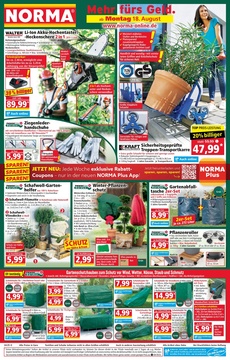 NORMA Prospekt - Angebote ab 18.08.