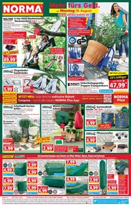 NORMA Prospekt - Angebote ab 18.08.