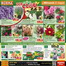 NORMA Prospekt Seite 12