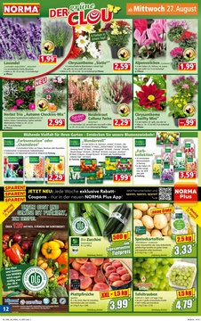 NORMA Prospekt - Angebote ab 25.08.