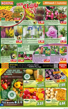 NORMA Prospekt - Angebote ab 01.09.