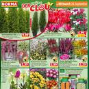 NORMA Prospekt Seite 12
