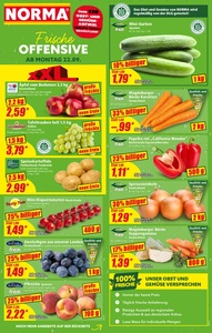 NORMA Prospekt - 2025/39